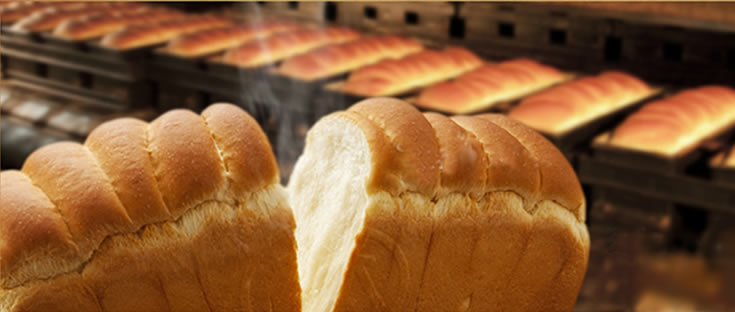 本間製のパン